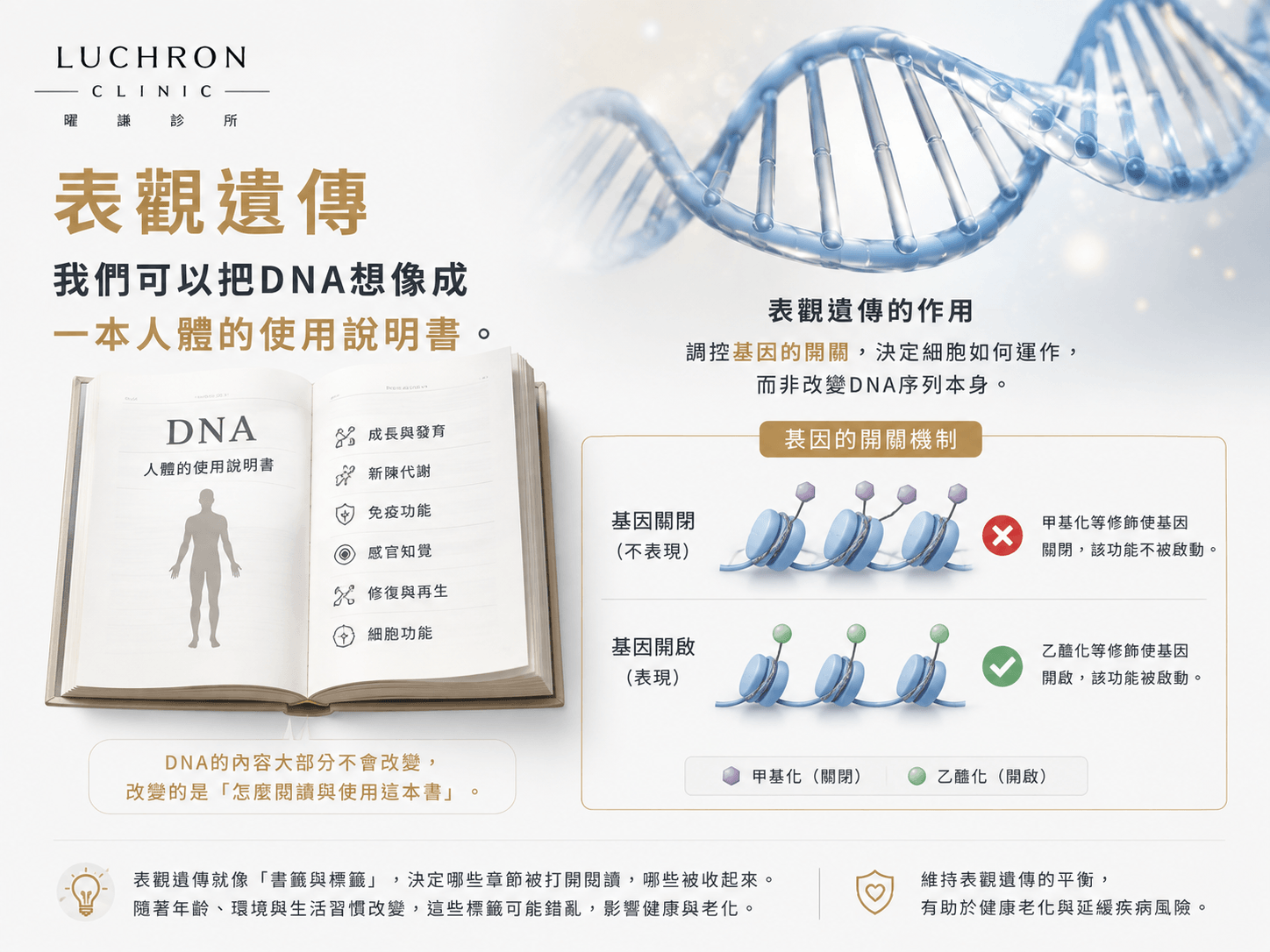 DNA與表觀遺傳示意圖