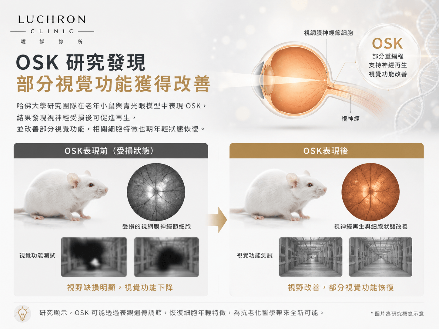 OSK細胞重編程與逆齡研究示意圖